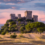 300x600_CastleLove-Almodóvar (1)
