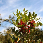 Sendero-Botanico4